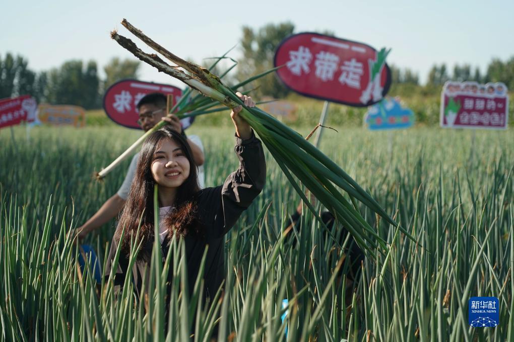 博信红包